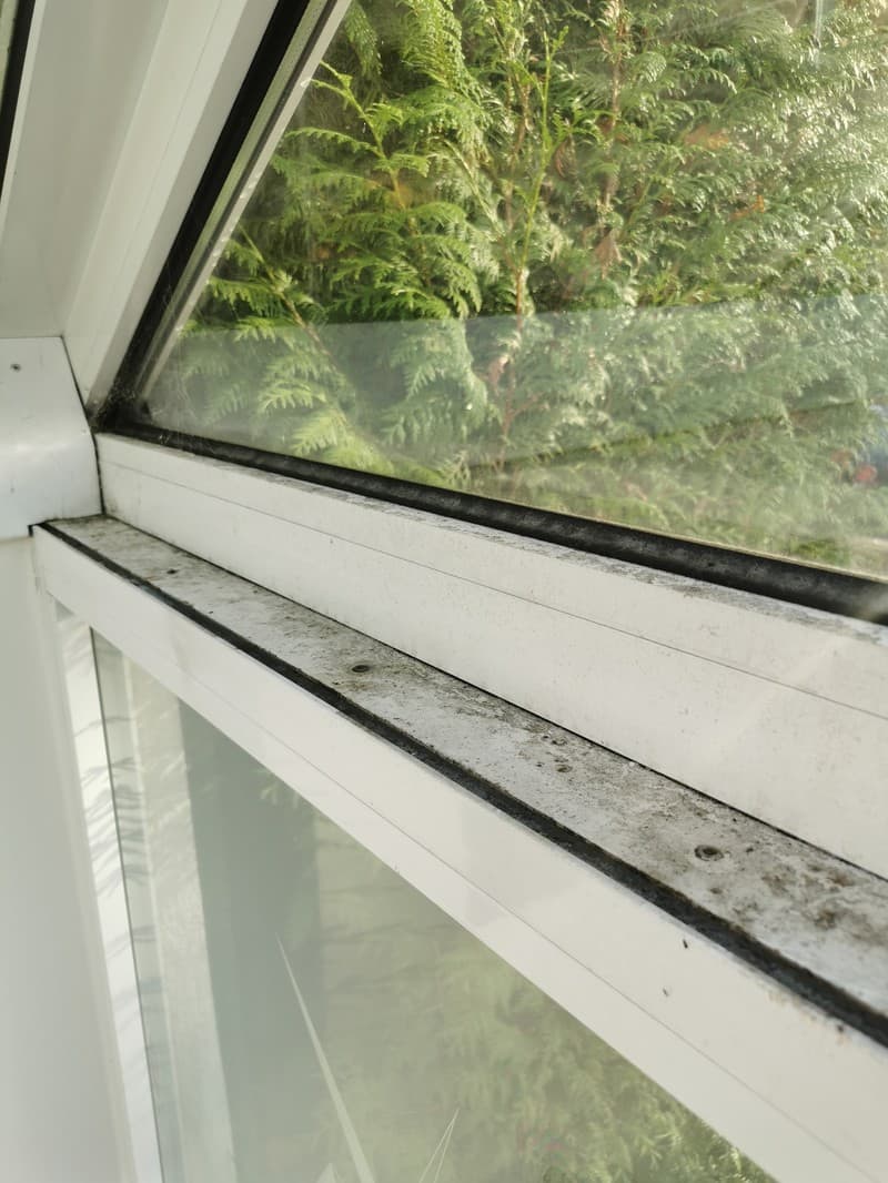 Nahaufnahme eines verschmutzten, weissen Fensterrahmens im Aussenbereich. Durch das Fenster sind grüne Büsche und Bäume im Hintergrund zu sehen.